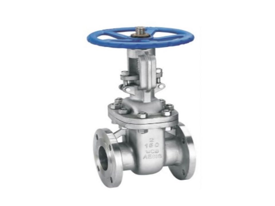 Gate Valves - Custom Steam Solutions Inc.